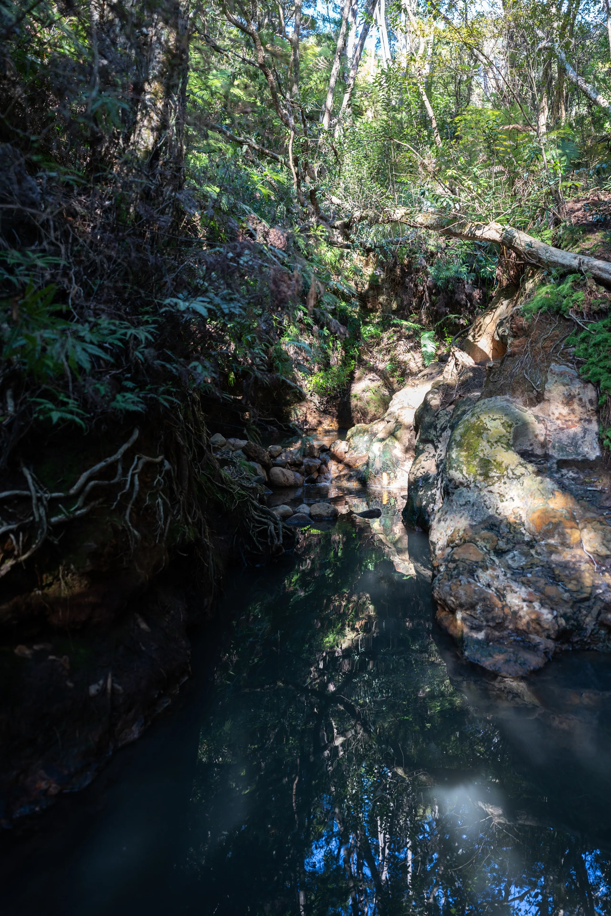 The upper stream at the Kaitoke hot springs. Our deep pool was the far one. Quite magical!