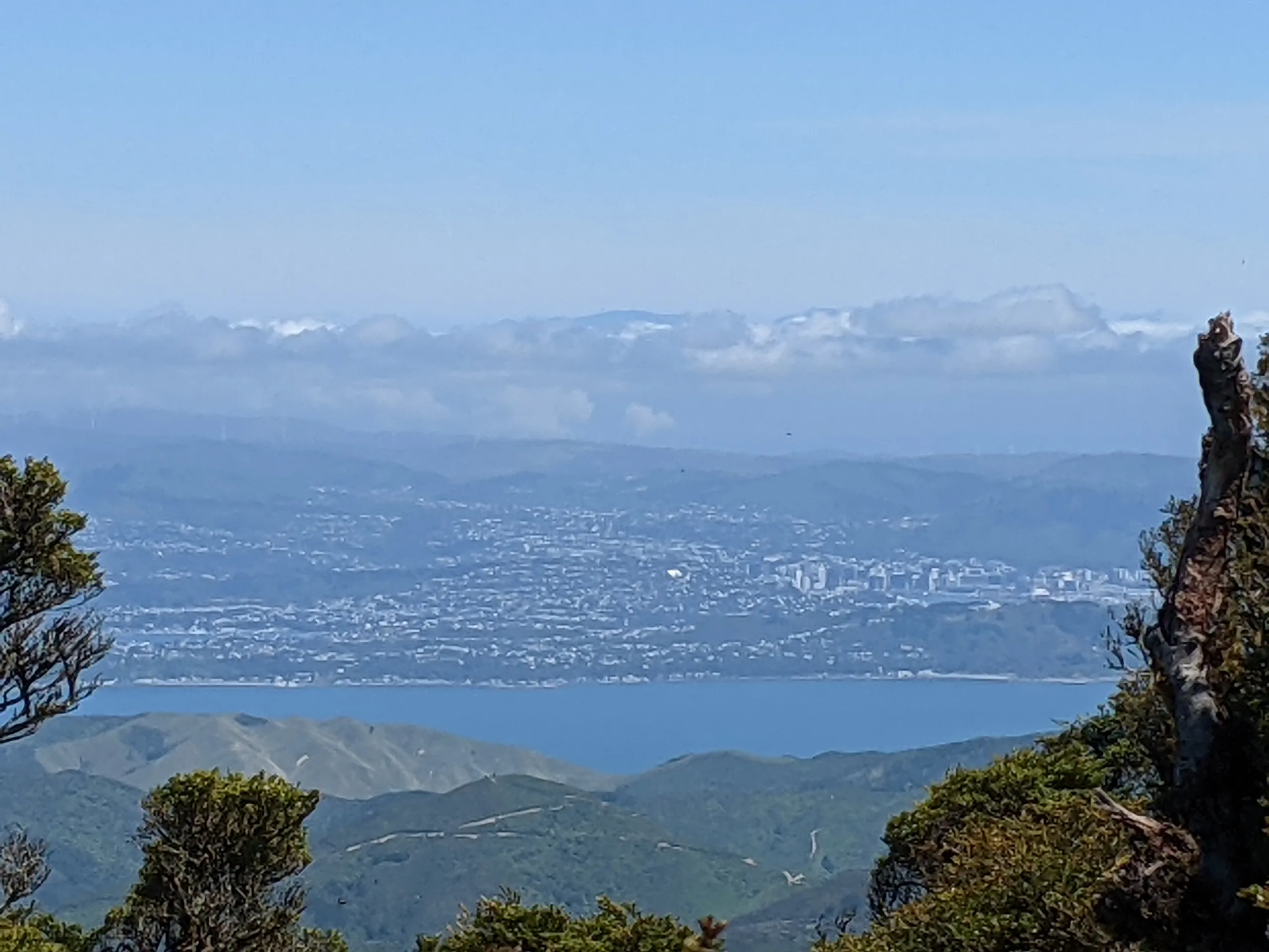 If you get the angles right you can catch a glimpse of Wellington city. I had to zoom way in on my cellphone photo but that's a large portion of the city in frame.