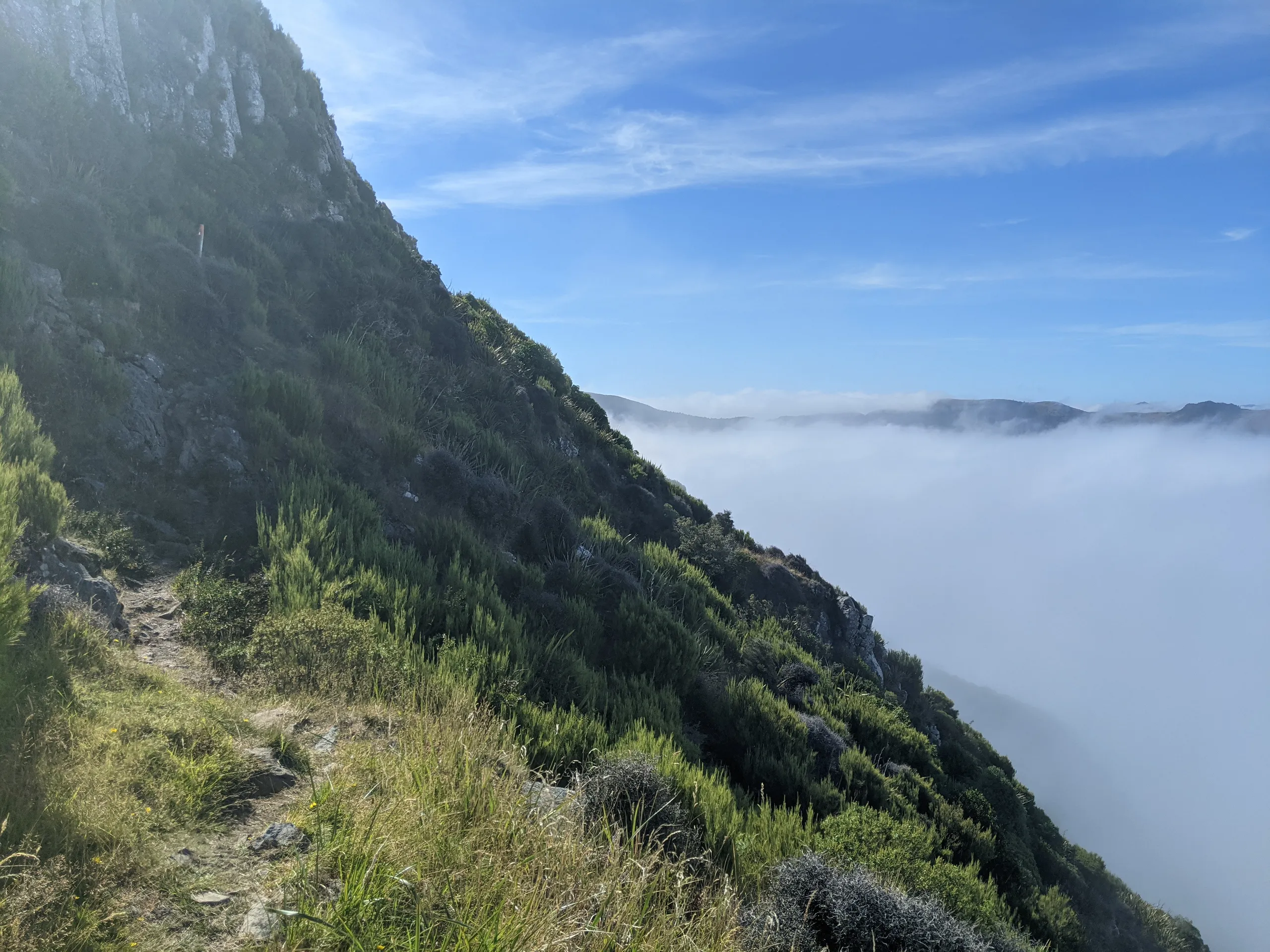 Climbing above the cloud to the south of Mt Bradley (Te Ara Pātaka Walkway)