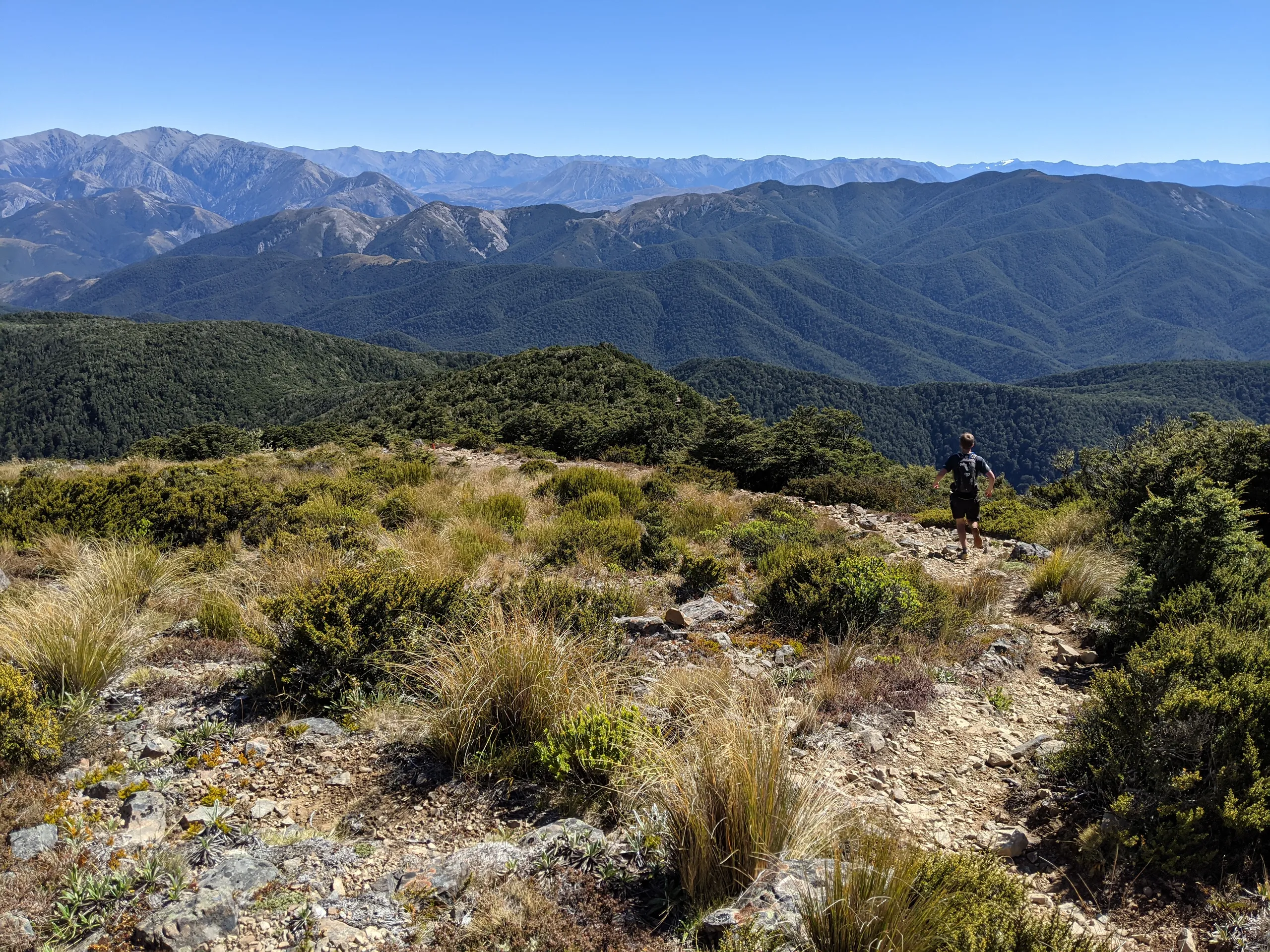 The best part of the run is the tops travel: it's good trail with panoramic views. The descent becomes steeper after dipping below the bushline.